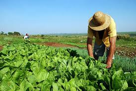 Muito além de números, áreas desapropriadas marcam avanços na reforma agrária no País