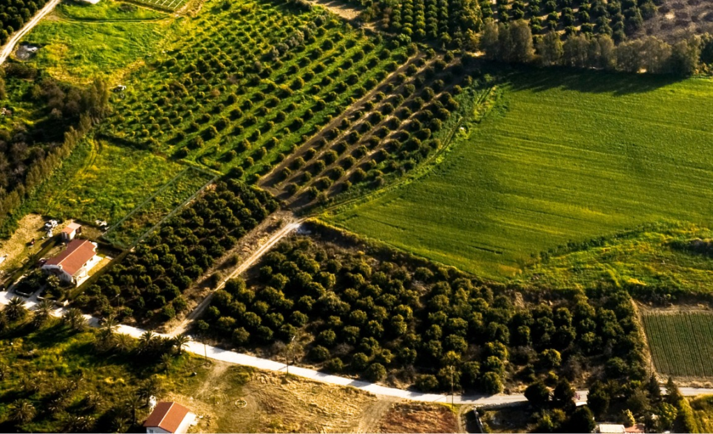Governo Federal desapropria 13 mil hectares e transforma áreas antes disputadas em oportunidade real para mais de 800 famílias pelo programa Terra da Gente.