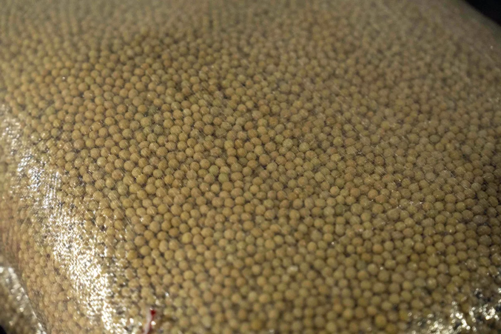 Em meio à escalada de tensões com os EUA, a China acelera compras de soja brasileira e expõe a fragilidade do comércio agrícola global.