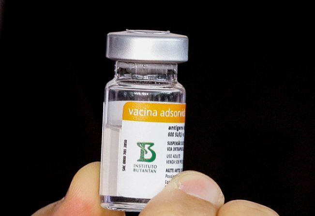Butantan e China unem forças contra a dengue.