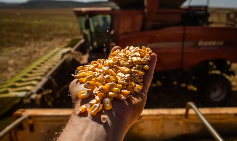 Safra recorde em 2025 impulsiona produção agrícola no Brasil