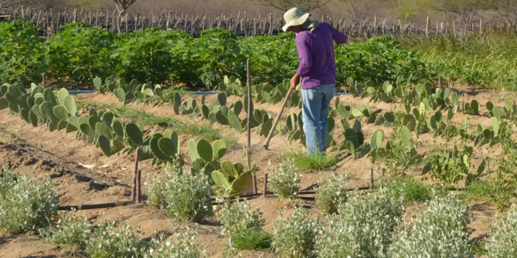Lula entrega 1,9 milhão de hectares de terras da União ao povo do Tocantins