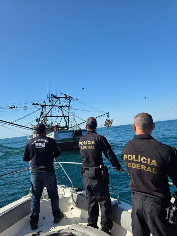 Agentes federais atuam para impedir crimes ambientais e garantir que o ciclo natural das baleias siga sem interferência humana.
