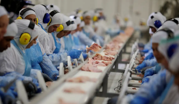 Mesmo com preços mais baixos, especialistas veem adaptação rápida e descartam colapso imediato no mercado de carne.