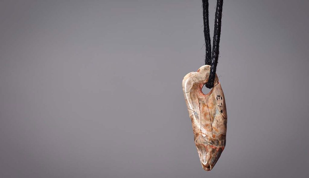 Conexões fluviais pré-históricas permitiram aos magdalenianos manter um vínculo cultural forte com o mar, importando materiais como dentes de foca e conchas para adornos pessoais.