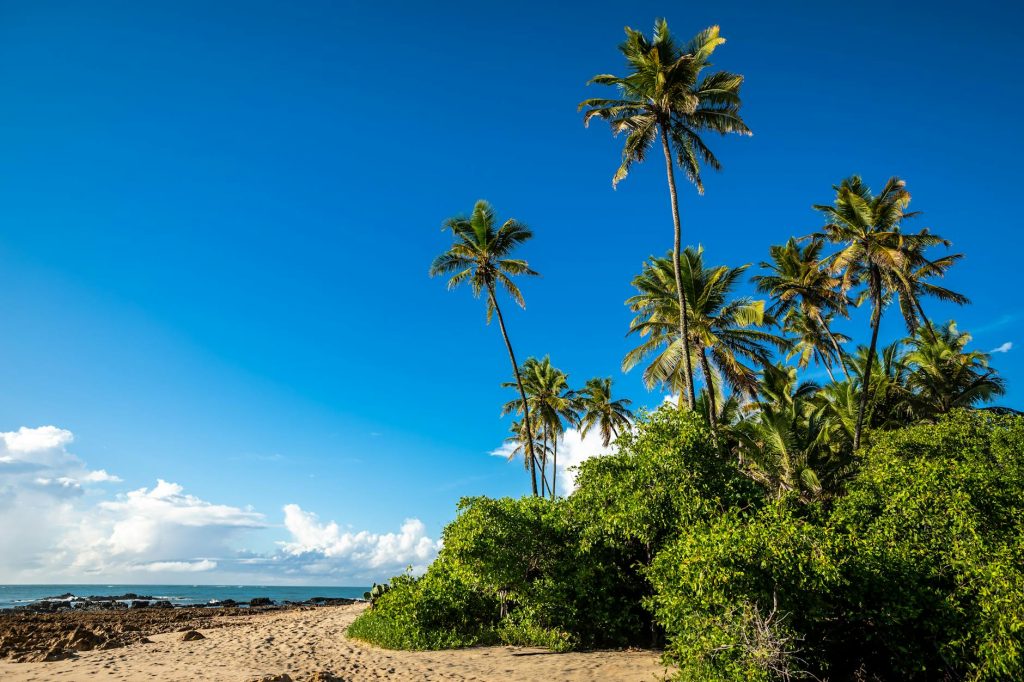 Tourism photo: Nordeste, Brasil - praia