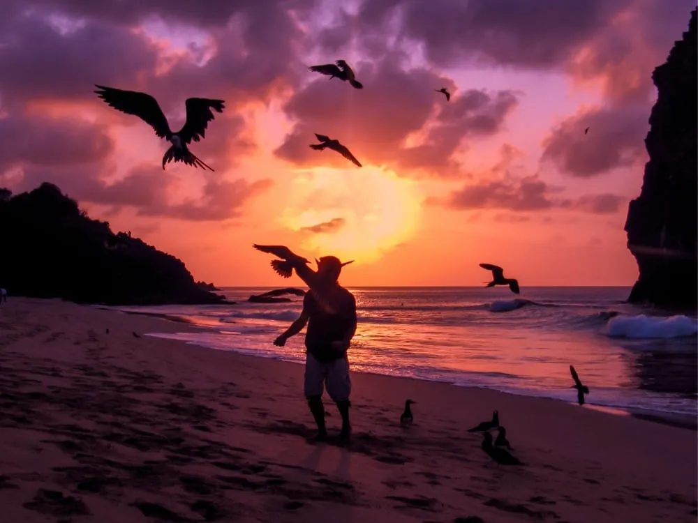 Um homem caminha na praia ao pôr do sol, com aves em voo ao redor. (Foto: https://planetaexo.com/pt/blog/top-15-destinos-ecot